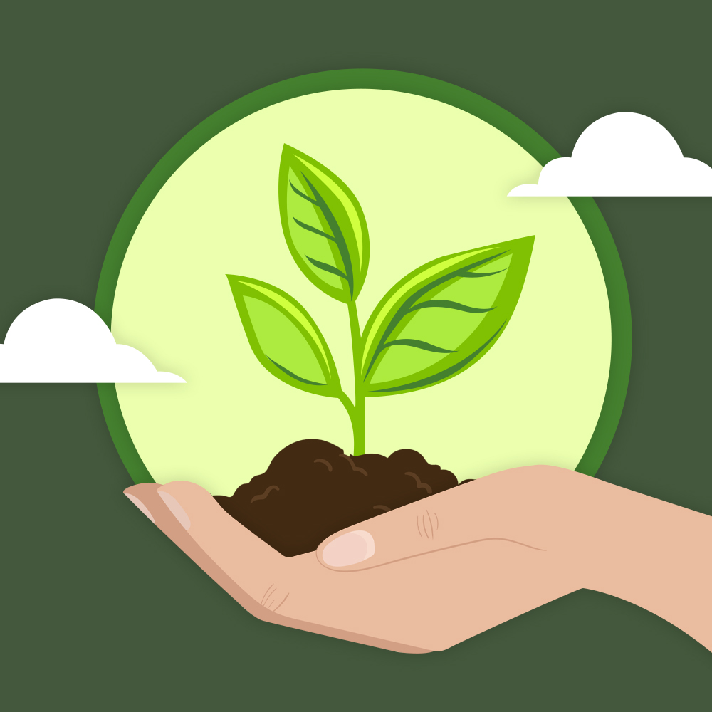 Glas – Interest Facts (Components in Nature) Glas - Interest Facts (Components in Nature)